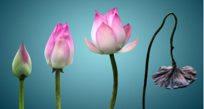 ỨNG DỤNG 5 QUY LUẬT CỦA CUỘC SỐNG VÀO ĐẦU TƯ CỔ PHIẾU